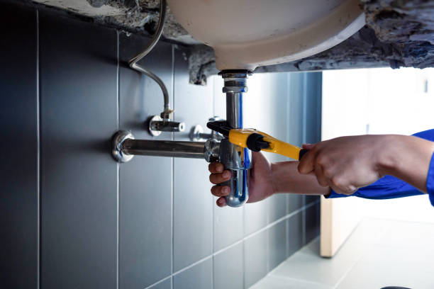 Best Commercial Plumbing Services  in Cane Savannah, SC